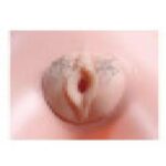 3D Korean Inflatable Sex Doll